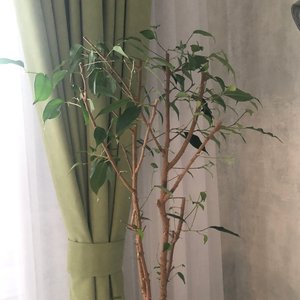 Изображение галереи