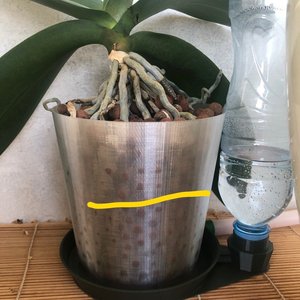 Изображение галереи