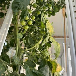 Изображение галереи