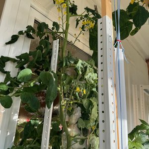 Изображение галереи