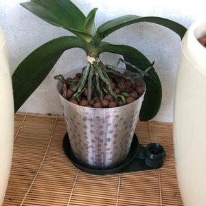 Изображение галереи