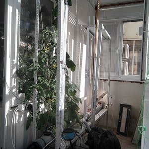 Изображение галереи