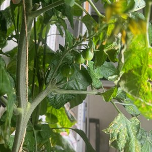 Изображение галереи