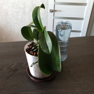 Изображение галереи