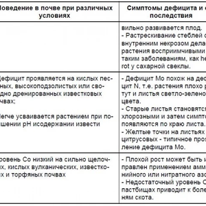 Изображение галереи