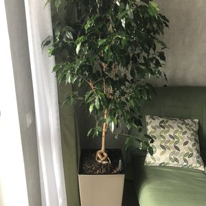 Изображение галереи