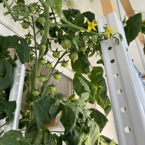 Изображение галереи