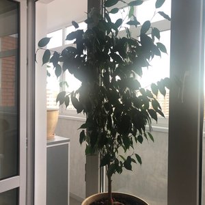 Изображение галереи