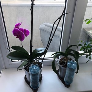 Изображение галереи