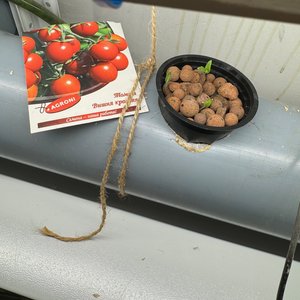 Изображение галереи