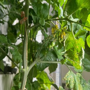 Изображение галереи