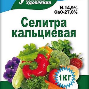 Изображение галереи