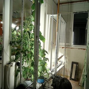 Изображение галереи