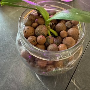 Изображение галереи