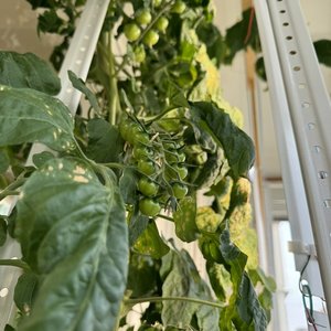 Изображение галереи