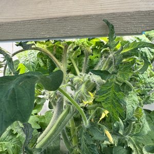 Изображение галереи