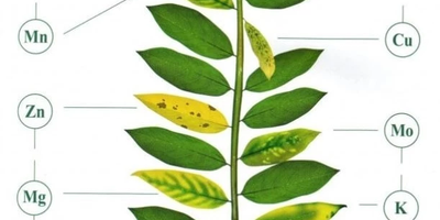 Дефициты питания