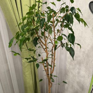 Изображение галереи