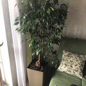 Изображение галереи