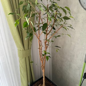 Изображение галереи