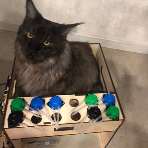 Изображение галереи