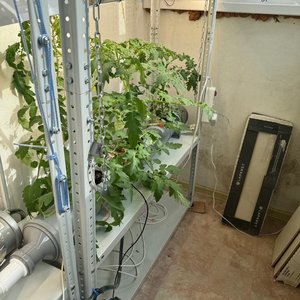 Изображение галереи