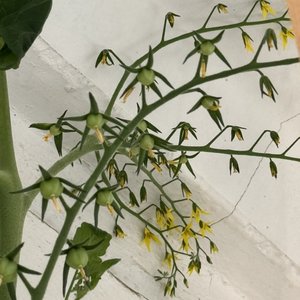 Изображение галереи