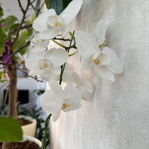 Изображение галереи