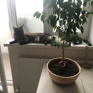 Изображение галереи