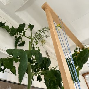 Изображение галереи