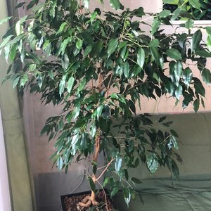 Изображение галереи