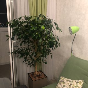 Изображение галереи