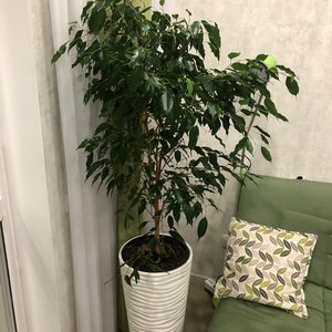 Изображение галереи