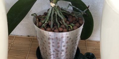 Частые ошибки составления питательного раствора