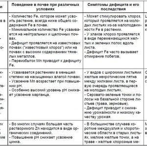 Изображение галереи