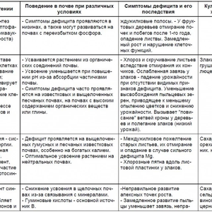 Изображение галереи