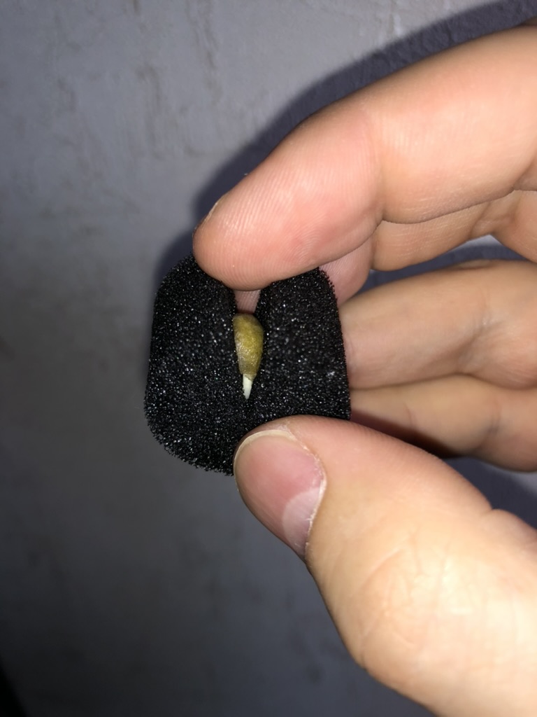 Мурайа - фото 4