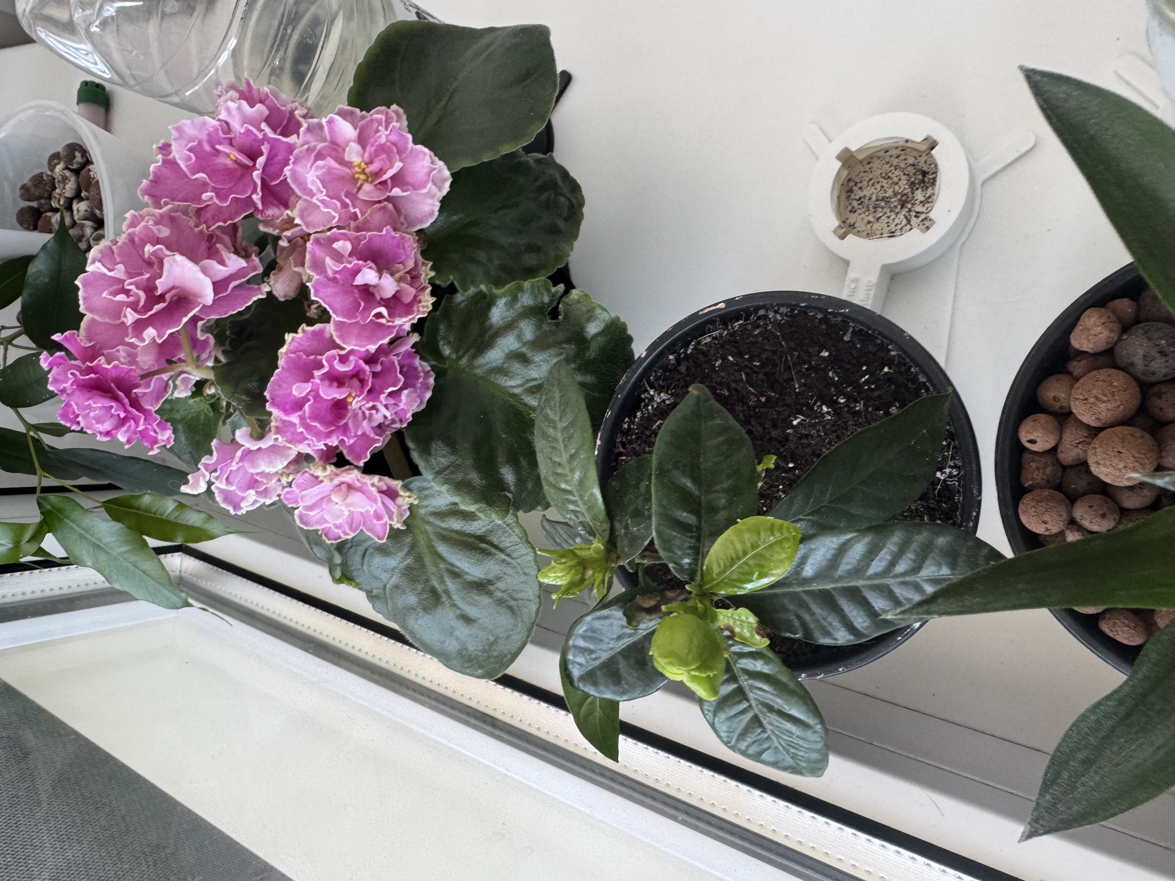 Поддон для подпора - фото 4